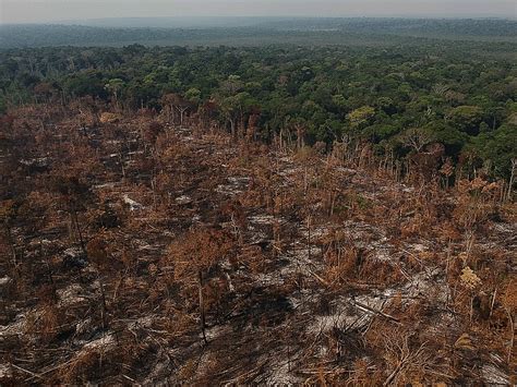 desmatamento amazonia ultimos 20 anos